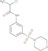 2-Chloro-N-[3-(morpholine-4-sulfonyl)phenyl]propanamide