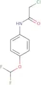2-Chloro-N-(4-difluoromethoxy-phenyl)-acetamide
