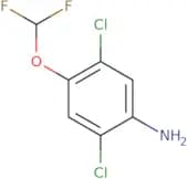 2,5-Dichloro-4-(difluoromethoxy)aniline