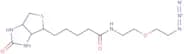 Biotin-PEG1-azide