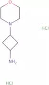 3-(Morpholin-4-yl)cyclobutan-1-amine dihydrochloride