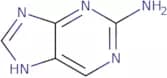 2-Aminopurine