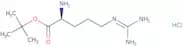 H-Arg-OtBu hydrochloride salt