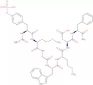 Acetyl-Cholecystokinin Octapeptide (2-8) (sulfated)