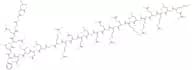 H-Ala-Lys-Leu-Arg-Glu-Arg-Leu-Lys-Gln-Arg-Gln-Gln-Leu-Gln-Asn-Arg-Arg-Gly-Leu-Asp-Ile-Leu-Phe-Leu-…