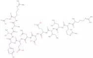 H-Arg-Arg-Leu-Ile-Glu-Asp-Asn-Glu-Tyr-Thr-Ala-Arg-Gly-OH