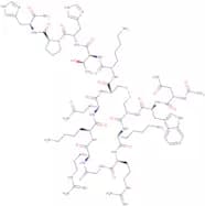 Acetyl-Amyloid b/A4 Protein Precursor770 (96-110) (cyclized)