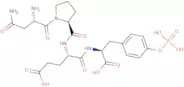 H-Asn-Pro-Glu-Tyr(PO3H2)-OH