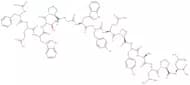 Ac-Phe-Glu-Trp-Thr-Pro-Gly-Trp-Tyr-Gln-L-azetidine-2-carbonyl-Tyr-Ala-Leu-Pro-Leu-NH2