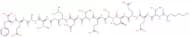(Asn670, Sta671,Val672)-Amyloid b/A4 Protein Precursor770 (662-675) ammonium