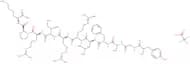 (D-Ala3)-Dynorphin A (1-11) amide trifluoroacetate salt