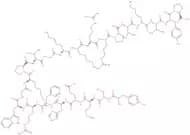 ACTH (2-24) (human, bovine, rat) trifluoroacetate salt