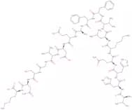 Amyloid β-Protein (12-28)