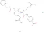 Z-Arg-Arg-pNA·2 HCl