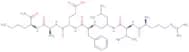 H-Arg-Val-Leu-psi(CH2NH)Phe-Glu-Ala-Nle-NH2