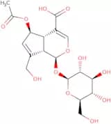 6-O-Acetylscandoside