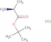 L-Alanine t-butyl ester hydrochloride