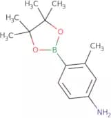 4-Amino-2-methylphenylboronic acid, pinacol ester