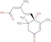 (S)-(+)-Abscisic acid