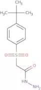 N-Amino-2-((4-(tert-butyl)phenyl)sulfonyl)ethanamide
