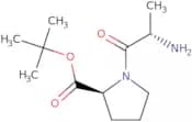 L-Alanyl-L-proline tert-butyl ester