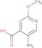 5-Amino-2-methoxyisonicotinic acid
