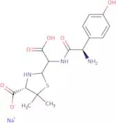 Amoxicillin related compound D