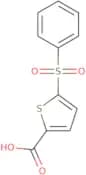 5-(Benzenesulfonyl)thiophene-2-carboxylic acid