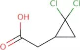 2-(2,2-Dichlorocyclopropyl)acetic acid