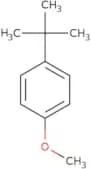 4-tert-Butylanisole