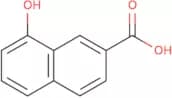 8-Hydroxynaphthalene-2-Carboxylic Acid