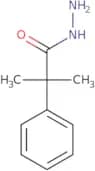 2-Methyl-2-phenylpropanehydrazide