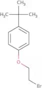 2-Bromoethyl 4-(tert-butyl)phenyl ether