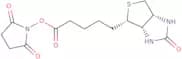 Biotin succinimidyl ester
