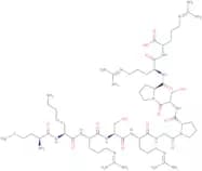 Bradykinin-Like Neuropeptide (Aplysia californica) trifluoroacetate salt
