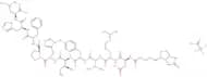Biotinyl-Angiotensin I trifluoroacetate salt