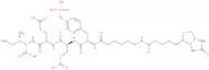 Biotinyl-ε-aminocaproyl-Tyr(PO3H2)-Glu-Glu-Ile-OH