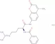Bz-Arg-AMC hydrochloride