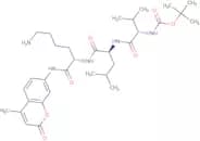 Boc-Val-Leu-Lys-AMC acetate salt