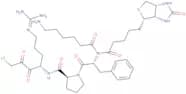 Biotinyl-ε-aminocaproyl-D-Phe-Pro-Arg-chloromethylketone