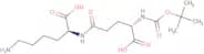 Boc-Glu(Lys-OH)-OH