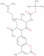 Boc-Val-Arg-AMC•HCl