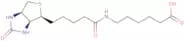 Biotin caproic acid