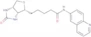 Biotinyl-6-aminoquinoline