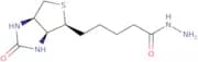 Biotin hydrazide