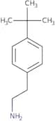 2-(4-(tert-Butyl)phenyl)ethanamine