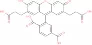 2',7'-Bis(2-carboxyethyl)-5(6)-carboxyfluorescein