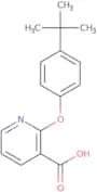 2-(4-(tert-Butyl)phenoxy)pyridine-3-carboxylic acid