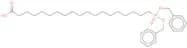 19-[[Bis(phenylmethoxy)phosphinyl]oxy]nonadecanoic acid