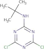 2-(tert-Butylamino)-4,6-dichloro-1,3,5-triazine